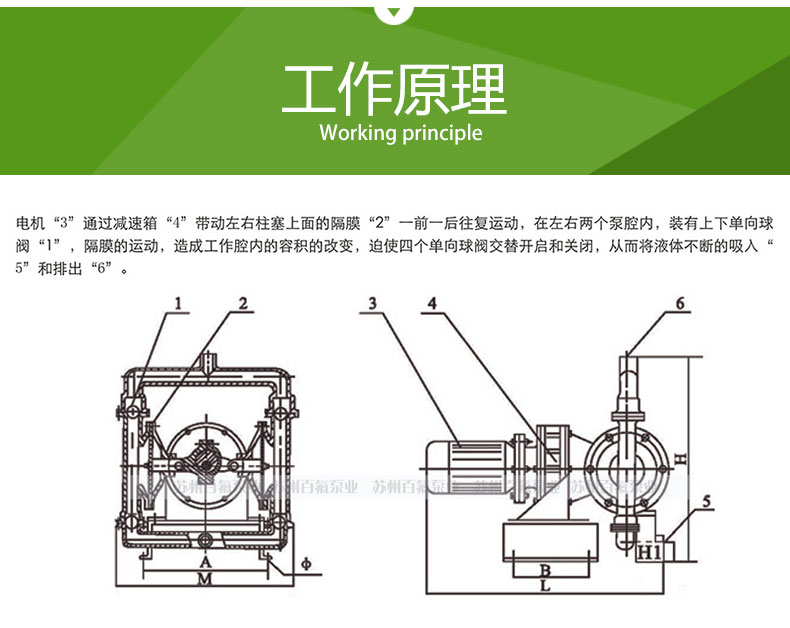 DBY型_電動隔膜泵(圖3)