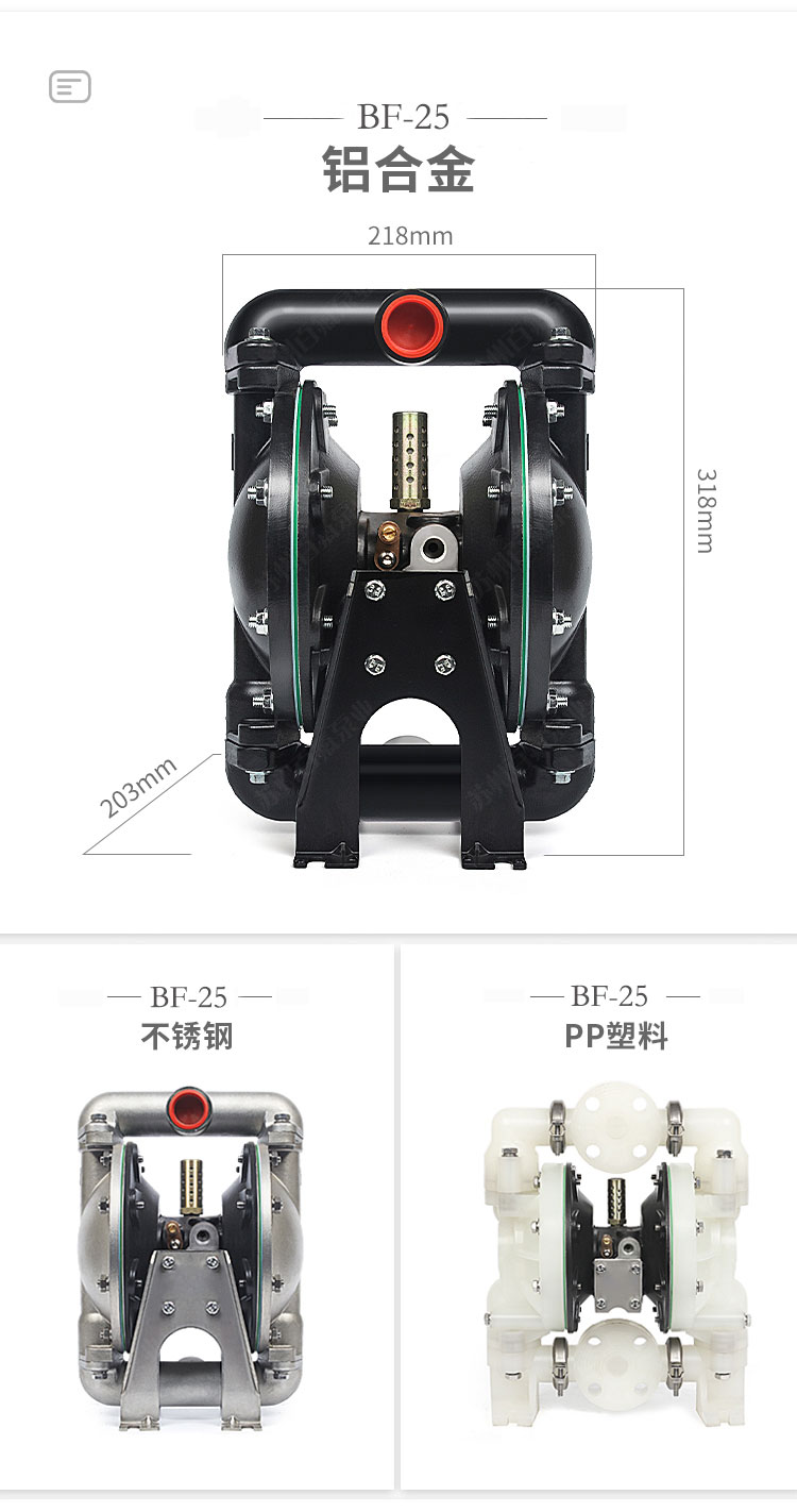 BF型大流量氣動隔膜泵(圖6)
