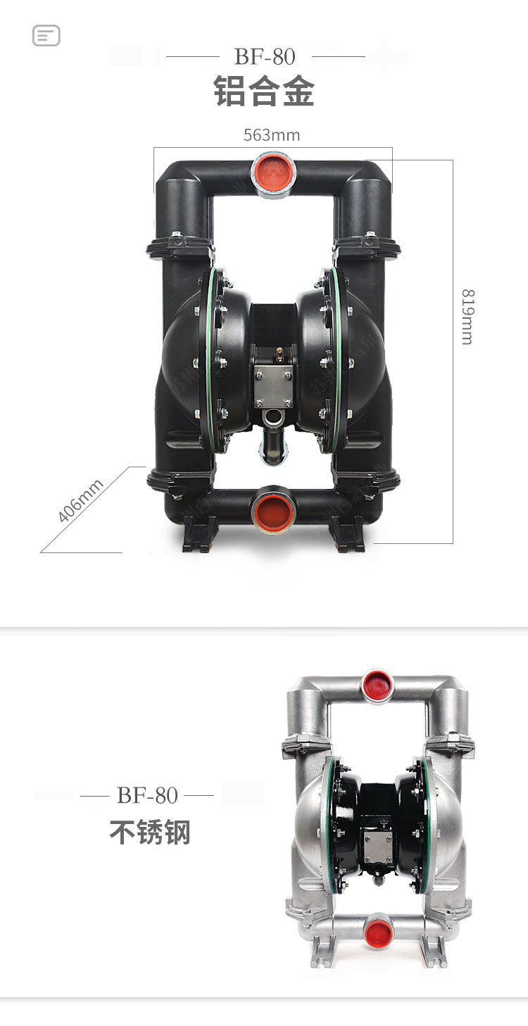 BF型大流量氣動隔膜泵(圖9)